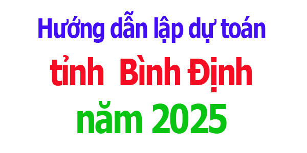 Hướng dẫn lập dự toán tỉnh Bình Định năm 2025