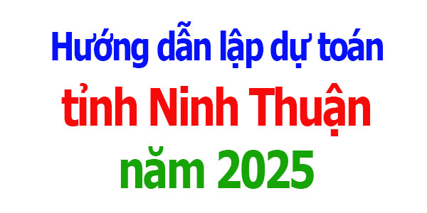 Hướng dẫn lập dự toán tỉnh Ninh Thuận năm 2025